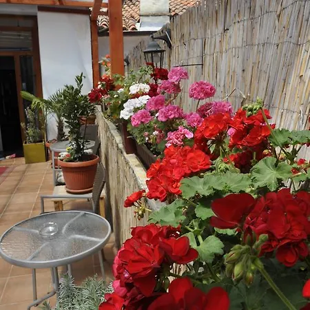 Hostel Riva Pula