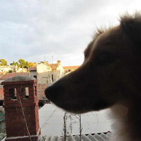 Riva * Pula