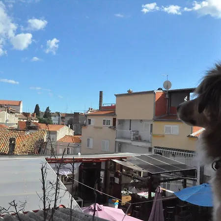 Hostel Riva